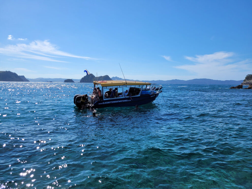 Glass Bottom Boat Adventures - Tourism Whitianga