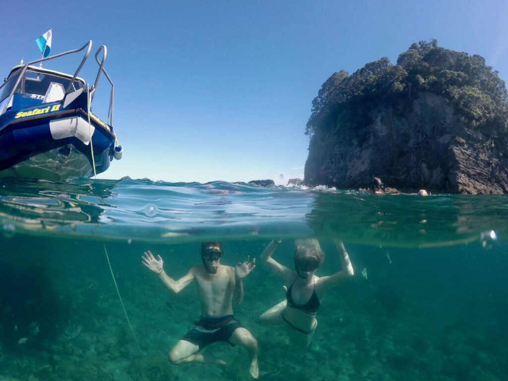 Glass Bottom Boat Adventures - Diving in Whitianga
